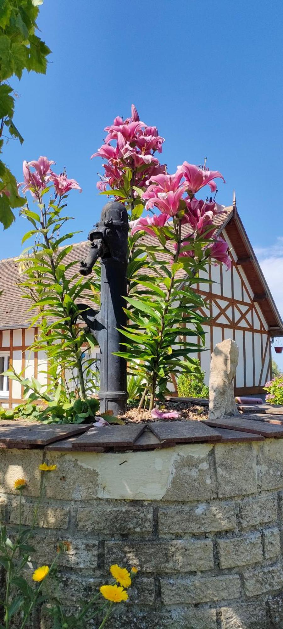 Les Lys Jolie Suite Parentale Privative Deux Adultes Avec Sdd Pertheville-Ners Exterior foto